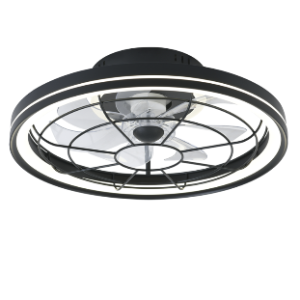 Ceiling Fan with Remote Control